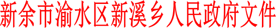 新余市渝水區(qū)新溪鄉(xiāng)人民政府文件