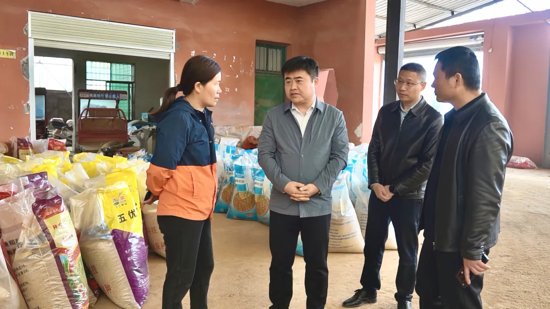 郭峰調(diào)研春耕備耕和農(nóng)業(yè)農(nóng)村領(lǐng)域集中整治工作